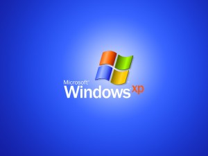 windows XP office 2003